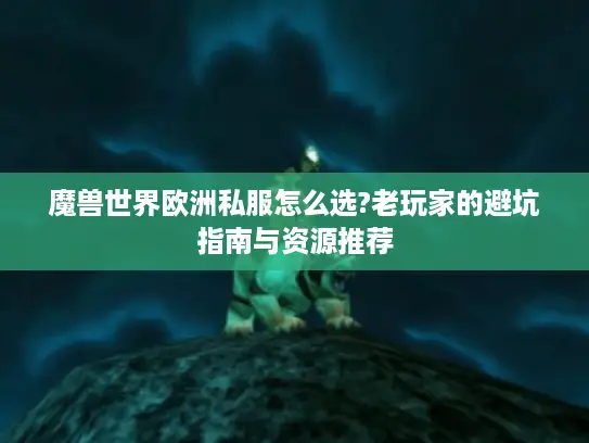 魔兽世界欧洲私服怎么选?老玩家的避坑指南与资源推荐