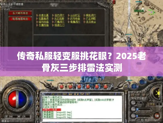 传奇私服轻变服挑花眼？2025老骨灰三步排雷法实测