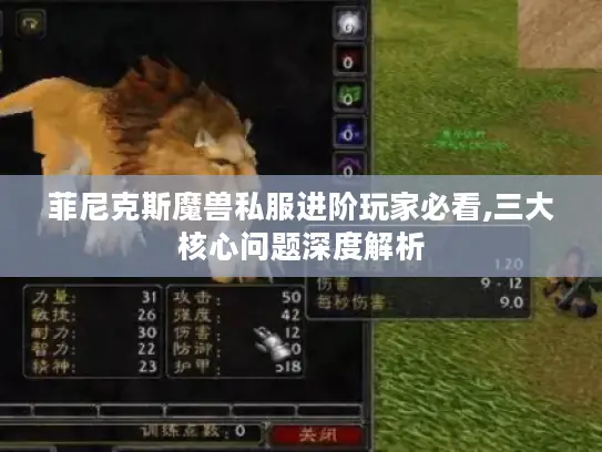 菲尼克斯魔兽私服进阶玩家必看,三大核心问题深度解析