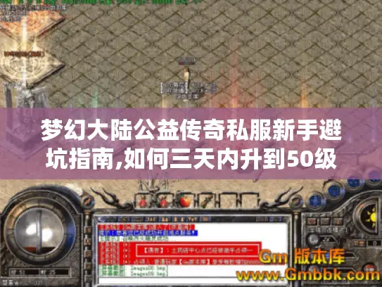 梦幻大陆公益传奇私服新手避坑指南,如何三天内升到50级