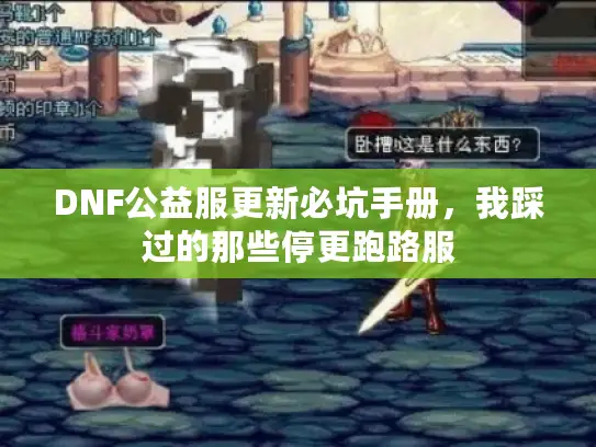 DNF公益服更新必坑手册,我踩过的那些停更跑路服 DNF公益服更新必坑手册,我踩过的那些停更跑路服