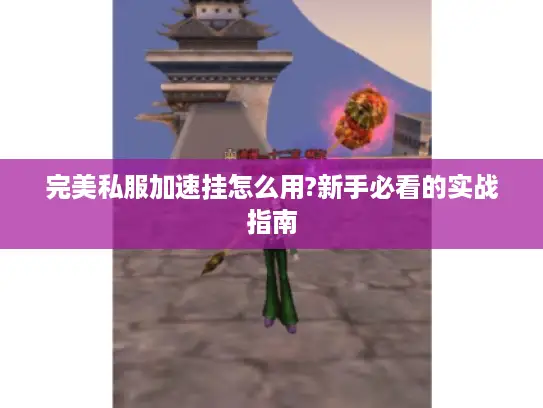 完美私服加速挂怎么用?新手必看的实战指南