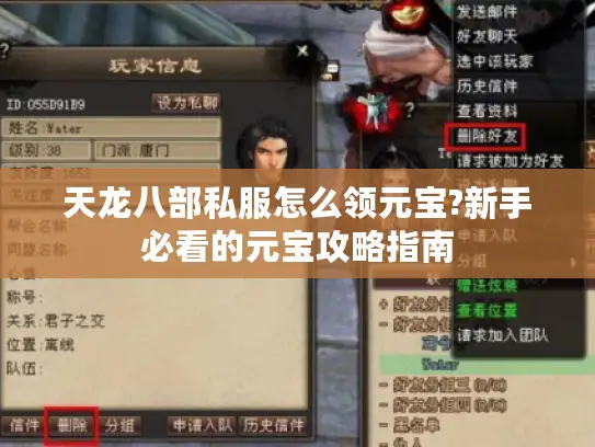 天龙八部私服怎么领元宝?新手必看的元宝攻略指南