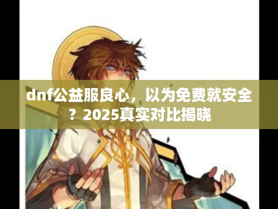 dnf公益服良心，以为免费就安全？2025真实对比揭晓