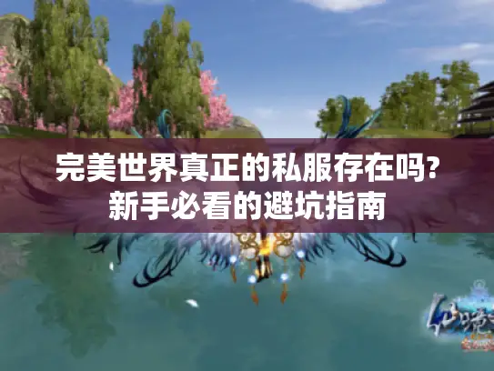 完美世界真正的私服存在吗?新手必看的避坑指南