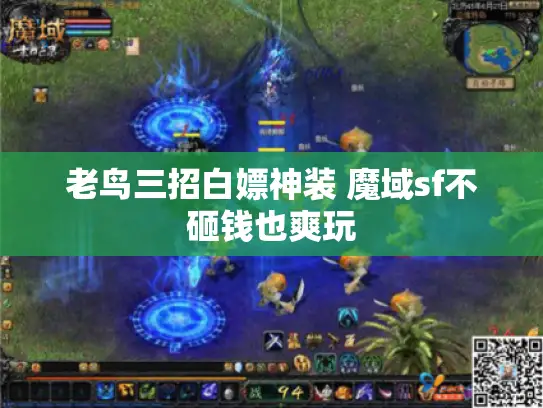 老鸟三招白嫖神装 魔域sf不砸钱也爽玩