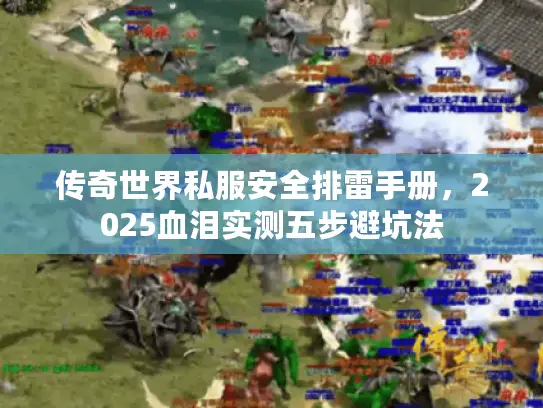 传奇世界私服安全排雷手册,2025血泪实测五步避坑法 传奇世界私服安全排雷手册,2025血泪实测五步避坑法
