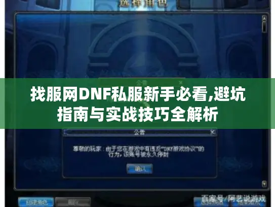 找服网DNF私服新手必看,避坑指南与实战技巧全解析 找服网DNF私服新手必看,避坑指南与实战技巧全解析