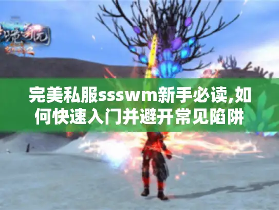 完美私服ssswm新手必读,如何快速入门并避开常见陷阱 完美私服ssswm新手必读,如何快速入门并避开常见陷阱