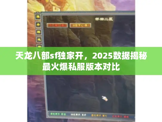 天龙八部sf独家开，2025数据揭秘最火爆私服版本对比