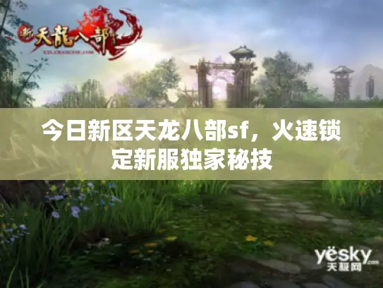 今日新区天龙八部sf，火速锁定新服独家秘技