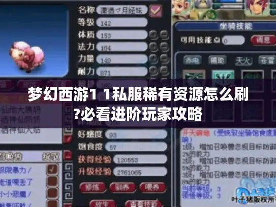 梦幻西游1 1私服稀有资源怎么刷?必看进阶玩家攻略