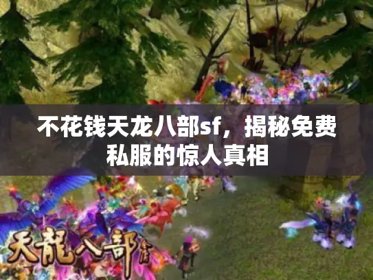 不花钱天龙八部sf,揭秘免费私服的惊人真相 不花钱天龙八部sf,揭秘免费私服的惊人真相