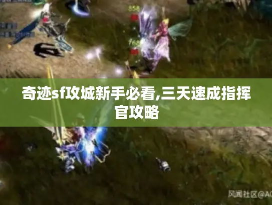 奇迹sf攻城新手必看,三天速成指挥官攻略