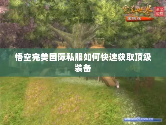 悟空完美国际私服如何快速获取顶级装备