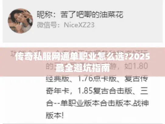 传奇私服网通单职业怎么选?2025最全避坑指南