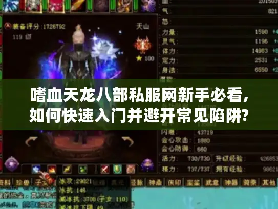 嗜血天龙八部私服网新手必看,如何快速入门并避开常见陷阱?