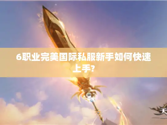 6职业完美国际私服新手如何快速上手? 6职业完美国际私服新手如何快速上手?
