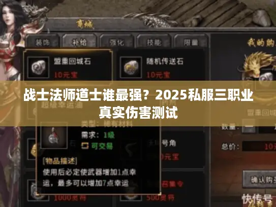 战士法师道士谁最强？2025私服三职业真实伤害测试