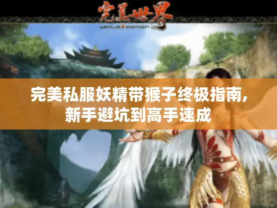 完美私服妖精带猴子终极指南,新手避坑到高手速成