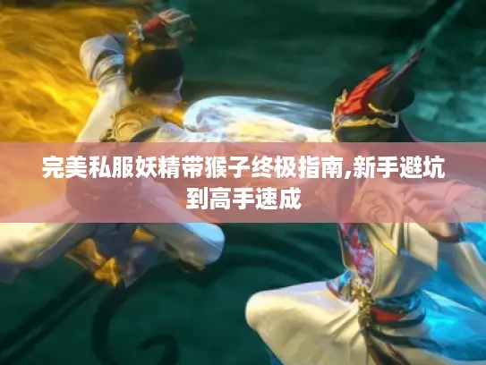 完美私服妖精带猴子终极指南,新手避坑到高手速成