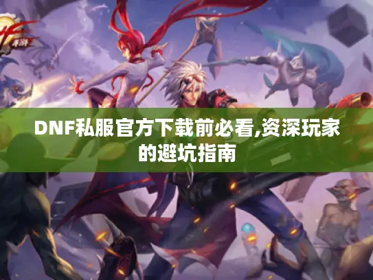 DNF私服官方下载前必看,资深玩家的避坑指南
