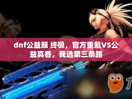 dnf公益服 终极，官方重氪VS公益真香，我选第三条路