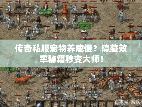 传奇私服宠物养成慢？隐藏效率秘籍秒变大师！