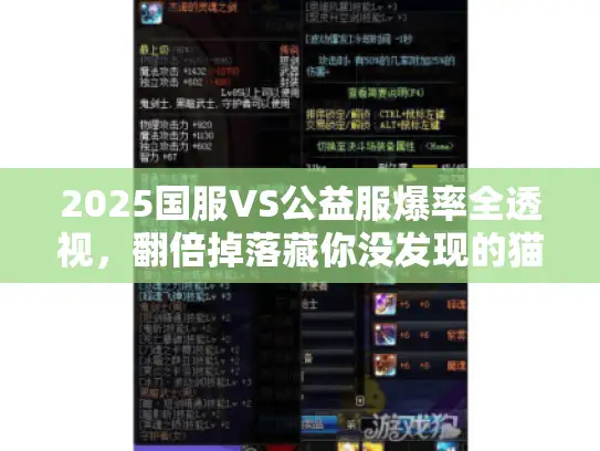 2025国服VS公益服爆率全透视，翻倍掉落藏你没发现的猫腻！