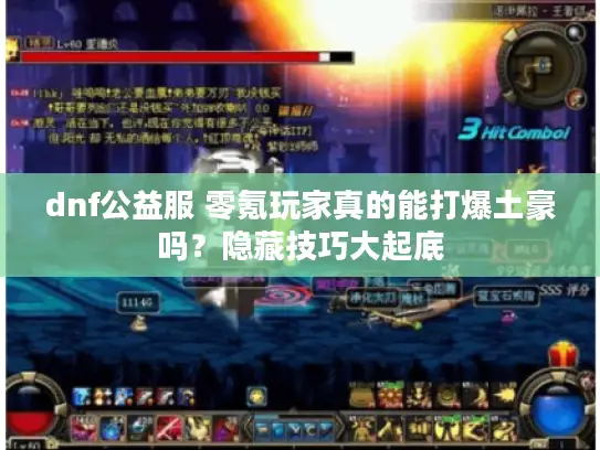 dnf公益服 零氪玩家真的能打爆土豪吗？隐藏技巧大起底