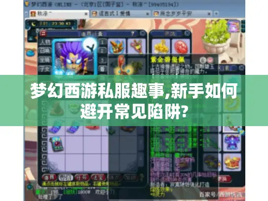 梦幻西游私服趣事,新手如何避开常见陷阱?