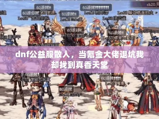 dnf公益服散人，当氪金大佬退坑我却找到真香天堂
