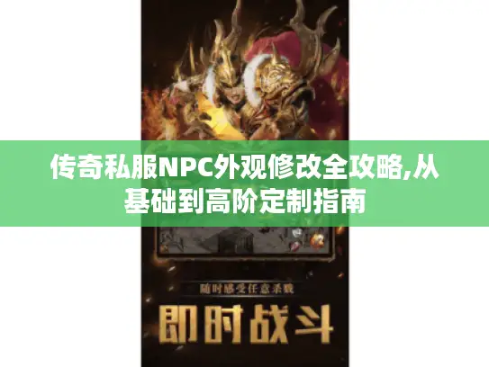 传奇私服NPC外观修改全攻略,从基础到高阶定制指南