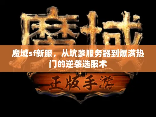 魔域sf新服，从坑爹服务器到爆满热门的逆袭选服术