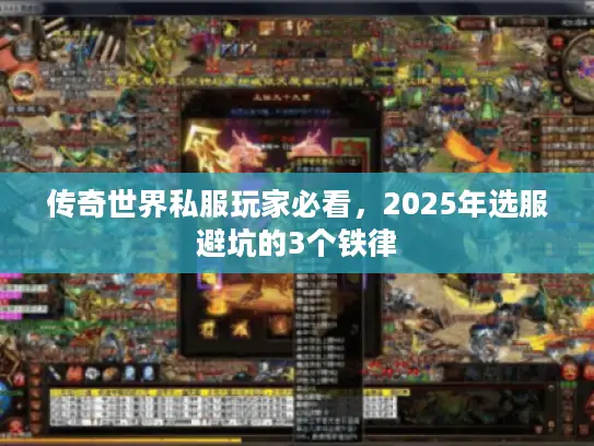 传奇世界私服玩家必看，2025年选服避坑的3个铁律