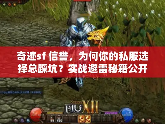 奇迹sf 信誉，为何你的私服选择总踩坑？实战避雷秘籍公开