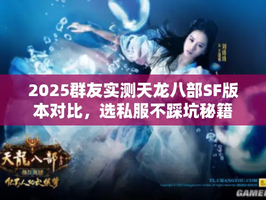 2025群友实测天龙八部SF版本对比，选私服不踩坑秘籍