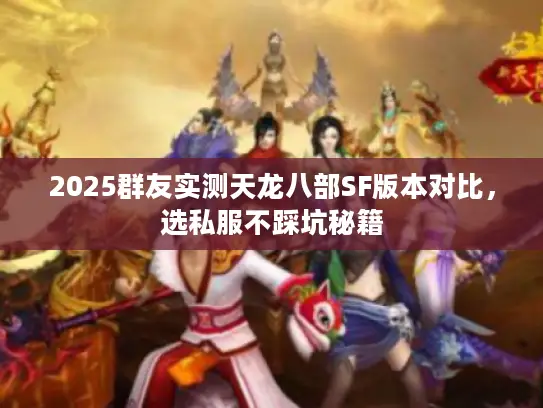 2025群友实测天龙八部SF版本对比，选私服不踩坑秘籍
