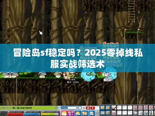冒险岛sf稳定吗？2025零掉线私服实战筛选术