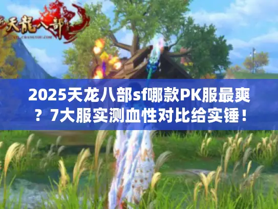 2025天龙八部sf哪款PK服最爽?7大服实测血性对比给实锤! 2025天龙八部sf哪款PK服最爽?7大服实测血性对比给实锤!