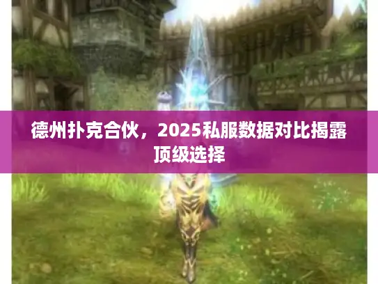德州扑克合伙,2025私服数据对比揭露顶级选择 德州扑克合伙,2025私服数据对比揭露顶级选择