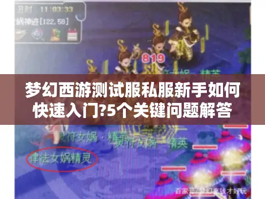 梦幻西游测试服私服新手如何快速入门?5个关键问题解答