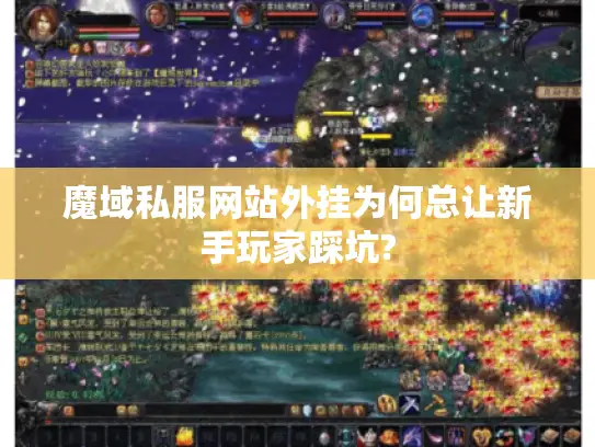 魔域私服网站外挂为何总让新手玩家踩坑? 魔域私服网站外挂为何总让新手玩家踩坑?