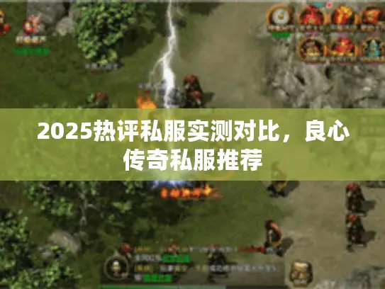 2025热评私服实测对比，良心传奇私服推荐