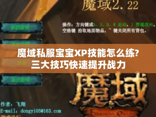 魔域私服宝宝XP技能怎么练?三大技巧快速提升战力