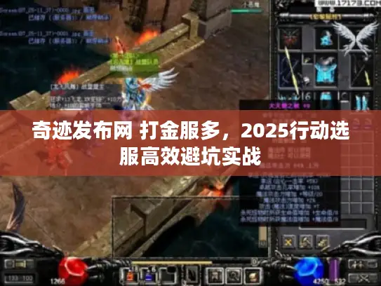 奇迹发布网 打金服多，2025行动选服高效避坑实战