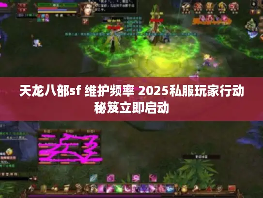 天龙八部sf 维护频率 2025私服玩家行动秘笈立即启动