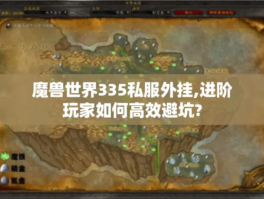魔兽世界335私服外挂,进阶玩家如何高效避坑?
