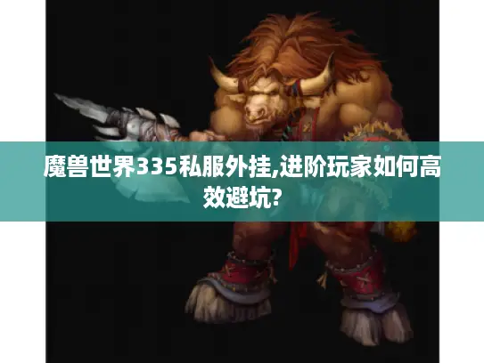 魔兽世界335私服外挂,进阶玩家如何高效避坑?