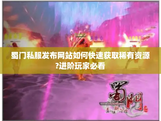 蜀门私服发布网站如何快速获取稀有资源?进阶玩家必看